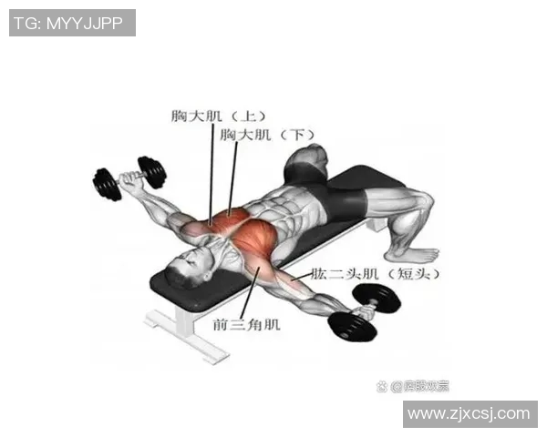 提升手臂力量与肌肉线条的上斜哑铃弯举训练技巧与注意事项