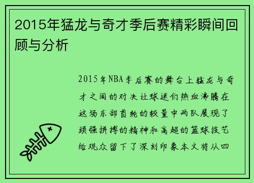 2015年猛龙与奇才季后赛精彩瞬间回顾与分析